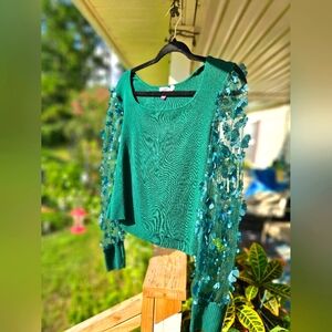 Sweater with Sheer sleeves